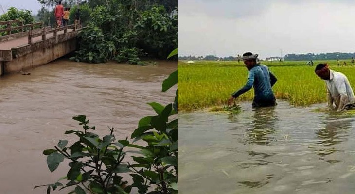 কুলাউড়ায় পাহাড়ি ঢলে বাধ ভেঙে ১৫ গ্রাম প্লাবিত, ব্যাপক ক্ষয়ক্ষতি।
